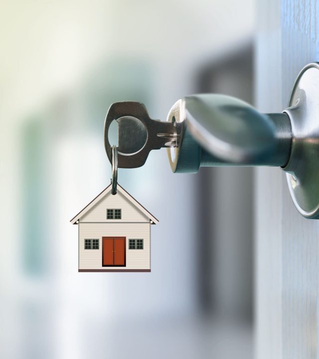dreinemann-immobilien-images(01)